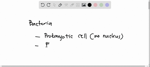 conclusion-on-bacteria-36293