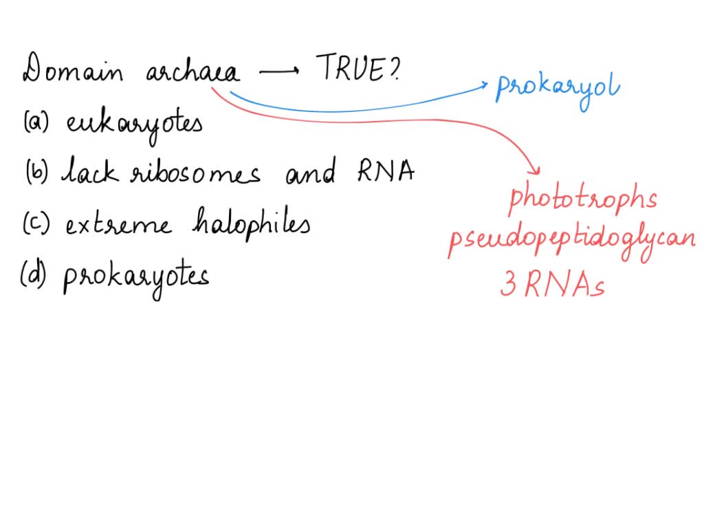 SOLVED Beth Owens Attempt 3 Question 1 (1 point) Which of the