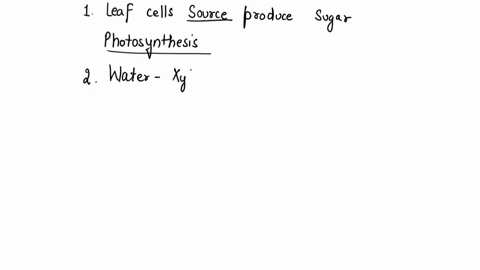 explain-the-pressure-flow-hypothesis-by-first-completing-the-statements-with-the-terms-provided-and-then-rearranging-the-statements-so-that-they-appear-in-chronological-order-dreg-ihe-text-b-47983