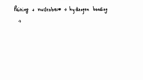 the-nucleobase-part-of-deoxyribonucleic-acid-encodes-information-in-each-component-in-the-sequence-m-64506