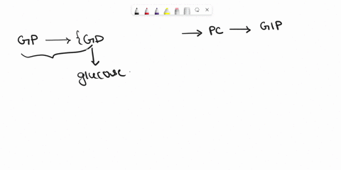 describe-the-role-of-atp-in-the-regulation-of-glycogen-phosphorylase-activity-explain-how-the-addition-of-a-phosphate-group-to-certain-amino-acids-of-glycogen-phosphorylase-can-result-in-the-66156