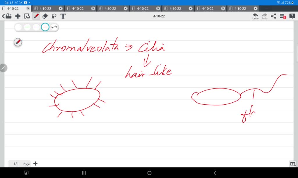 SOLVED: Question 8 The protist shown in the picture has which of the ...