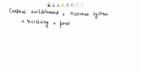 which-part-of-the-brain-contains-the-clients-central-switchboard-of-the-central-nervous-system-48546