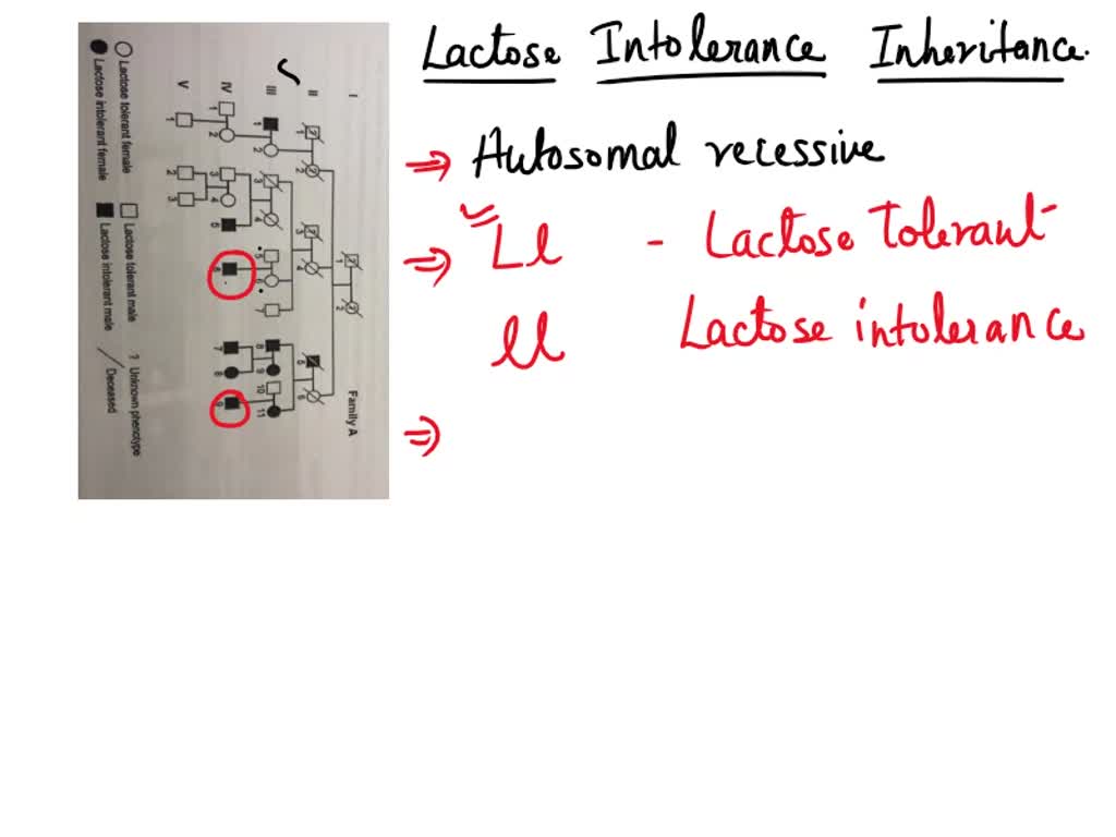 SOLVED Recessive Dominant Study Individuals 5 and 6 of Generation III and their child. The two