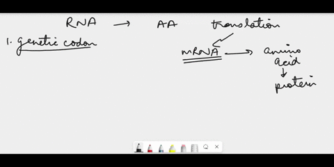 i-need-to-convert-a-rna-aconcagua-into-an-amino-acid-where-do-i-start-13224