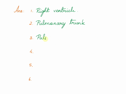 put-the-items-in-the-correct-order-below-is-a-sequence-of-events-place-them-in-the-order-they-should-occur-number-1-being-the-first-item-items-to-order-1-right-ventricle-2-pulmonary-trunk-3-06412