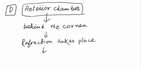 108-this-is-the-area-behind-the-cornea-where-refraction-takes-place-a-choroid-layer-b-ciliary-body-c-fundus-d-anterior-chamber-o-mark-for-review-will-be-highlighted-on-the-review-page-04351