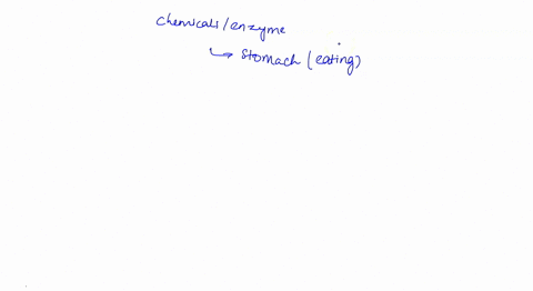 which-chemicals-or-enzymes-are-secreted-by-the-stomach-after-eating-gastrin-hydrochloric-acid-hcl-pepsin-all-of-these-choices-are-correct-68619