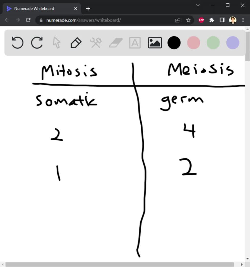 SOLVED: Explain the division process of meiosis What is the goal of ...