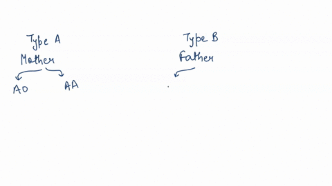 what-blood-type-or-types-can-be-found-in-an-offspring-if-a-mother-has-type-a-blood-and-the-father-has-type-b-blood-94795