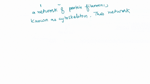 1-select-all-of-the-statements-which-characterize-the-structure-of-the-three-cytoskeletal-filaments-a-subunits-connected-to-one-another-by-weak-noncovalent-bonds-b-polymer-of-protein-subunit-64894