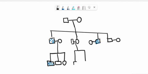 a-pedigree-uses-specific-symbols-t0-indicate-genetic-information-about-related-individuals-consider-the-figure-which-depicts-a-pedigree-with-three-generations-of-a-family-affected-by-a-rare-23654