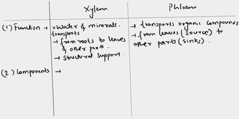 distinguish-between-the-words-in-each-pair-xylem-phloem-82177