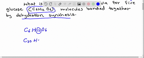 question-12-1-point-what-is-the-molecular-formula-for-five-glucose-c6h1206-molecules-bonded-together-by-dehydration-synthesis-c3ohs2026-cgohsoo3o-cgohsoo30-c3oh5o026-43291