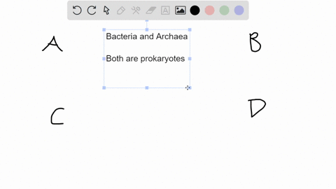 which-of-the-following-statements-concerning-cells-of-bacteria-and-archaea-is-correct-select-one-a-archaea-contain-small-membrane-enclosed-organelles-bacteria-do-not-b-mitochondria-are-prese-07114