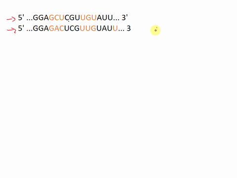 the-nucleotide-sequence-5a-ggagcucguuguauu-3a-is-changed-to-5a-ggagacucguuguauu-3a-why-does-or-why-doesnt-the-resulting-amino-acid-sequence-change-refer-to-the-following-sequence-5-ggagcucgu-66562