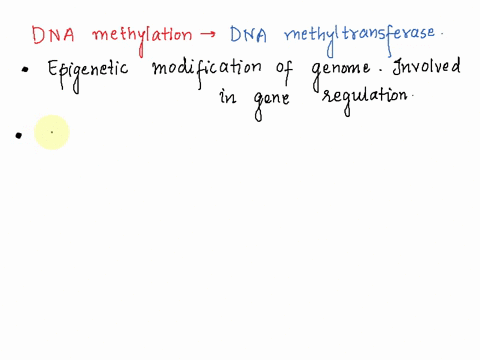 molecular-biologists-can-determine-experimentally-whether-a-region-of-dna-contains-closed-chromatin-or-open-chromatin-by-assessing-the-sensitivity-of-the-region-to-molecular-biologists-can-d-13974