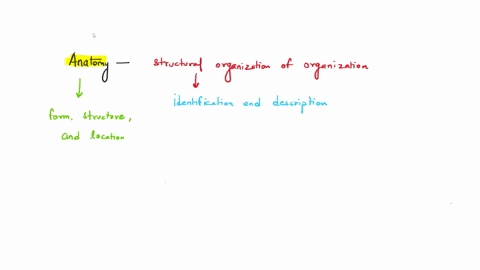 anatomy-is-best-described-as-select-one-a-form-structure-location-of-body-parts-b-function-how-organs-and-systems-in-the-body-work-c-all-systems-maintaining-health-with-a-dynamic-equilibrium-51326