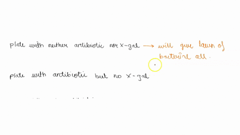 after-you-transform-the-ampicillin-sensitive-coli-with-the-ligation-reaction-mixture-you-decide-to-plate-an-aliquot-of-these-bacteria-on-three-different-agar-plates-which-contain-the-followi-18472