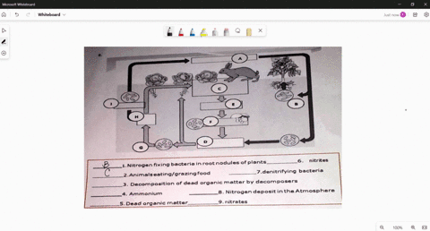 ii-directions-fill-in-the-given-descriptions-in-the-box-with-the-letters-that-best-represents-thedescription-use-the-image-as-your-guide-and-write-your-answers-in-the-notebook-dead-org-wh-si-59908