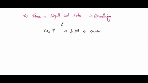 question-25-1-point-saved-which-of-the-following-i-islare-apply-true-for-the-depth-and-rate-ofe-breatrurg-select-apn-increased-carbon-dioxide-levels-cause-an-increase-inph-respond-to-hydroge-93125