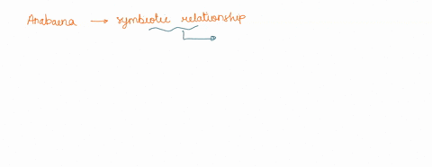 which-statement-about-the-cyanobacteria-anabaena-is-true-some-anabaena-cells-can-change-form-or-function-it-is-formed-from-the-symbiotic-relationship-between-two-types-of-bacteria-it-is-form-22416