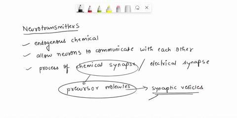 10name-the-set-of-structures-inside-the-dotted-lines-in-the-figure-below-nextidentify-the-process-that-occurs-in-this-location-bio-attached-to-g-11name-the-structures-in-the-image-name-ofstr-05031