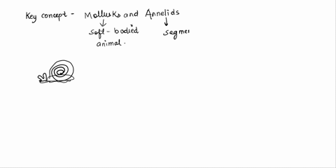 what-is-a-type-of-aquatic-segmented-worm-with-two-sets-of-two-eyes-multiple-antennae-and-small-appendages-that-aid-in-feeding-and-sensing-a-round-worms-b-flatworms-c-earthworms-d-marine-worm-28576