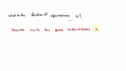 what-is-the-function-of-chromosome-15-32896