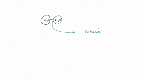 question-9-the-tendency-of-water-molecules-to-stick-to-each-other-is-called-adhesion-evaporative-cooling-surface-tension-conesion-46519