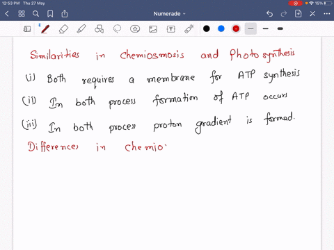 compare-chemiosmosis-to-the-light-dependent-reaction-of-photosynthesis-how-are-the-two-processes-similar-and-different