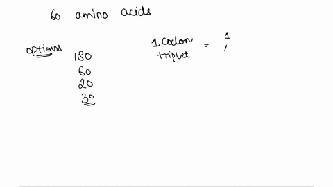 how-many-rna-codons-encode-60-amino-acids-180-60-20-30-72545