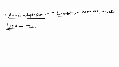 which-animal-adaptation-happened-before-the-others-57527