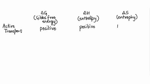 label-the-following-biological-processes-as-exergonic-or-endergonic_-exothermic-engoinermic-entropy-increases-decreases-vithin-ine-system-example-positivc-positive-4s-positive-negative-negat-51565