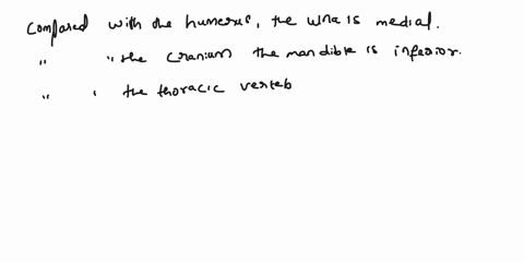 1-these-matching-questions-require-you-to-understand-directional-terminology-thoroughly-remember-that-anatomical-directions-apply-to-a-standing-human-with-palms-facing-outward-be-sure-to-loo-13562