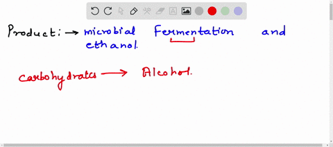 which-main-product-is-obtained-by-the-microbial-fermentation-and-ethanol-29942