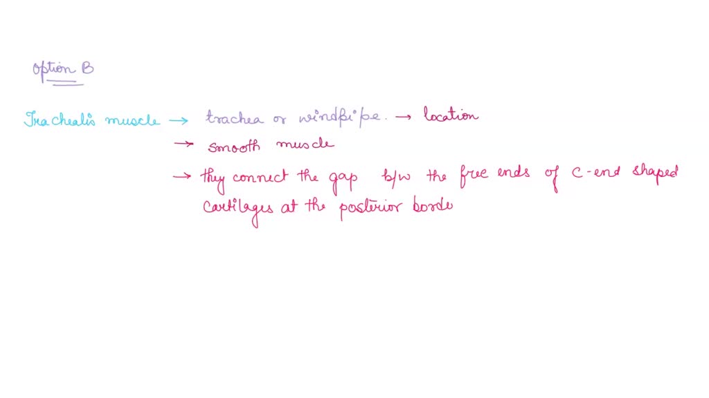 SOLVED: The secondary structure elements of proteins include alpha ...