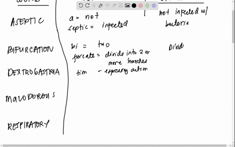 term-breakdown-exercise-words-aseptic-bifurcation-dextrogastria-malodorous-respiratory-subdural-these-words-are-found-in-units-11-12-and-13-click-the-appropriate-link-to-download-or-view-a-f-27281