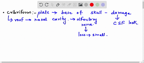 required-resourcesreadreview-the-following-resources-for-this-activitytextbookweekly-conceptsminimum-of-1-scholarly-sourcescenariosummarya-42-year-old-male-decides-to-try-to-break-the-world-28088