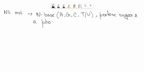 a-dna-molecule-consists-of-two-antiparallel-strands-of-polynucleotides-each-strand-is-composed-of-nucleotides-bound-to-each-other-along-the-sugar-phosphate-backbone-drag-true-or-false-to-the-57338