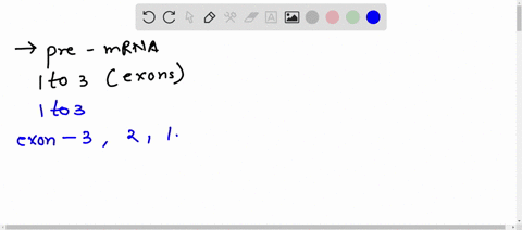 using-the-following-pre-mrna-transcript-number-the-exons-from-1-to-3-starting-from-the-end-that-was-transcribed-first-then-draw-mature-mrna-with-the-most-base-pairs-possible-no-alternative-s-28003
