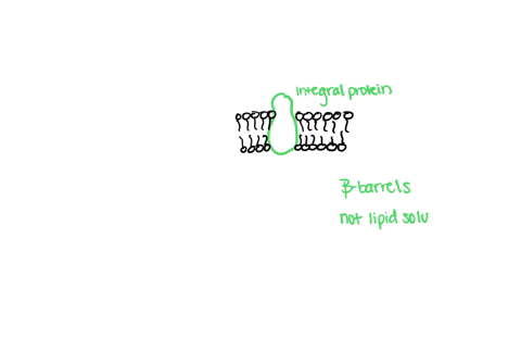 the-following-three-items-5-7-relate-to-the-integral-proteins-in-the-cellular-membrane-for-this-use-a-if-its-true-use-b-ifits-false-5-generally-the-portion-of-the-integral-proteins-that-cros-98128