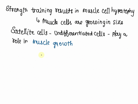 strength-training-results-in-muscle-cell-hypertophy-due-in-part-to-the-stimulation-of-satellite-cells-satellite-cells-a-contribute-to-muscle-growth-by-dividing-and-contributing-mitochondria-26081