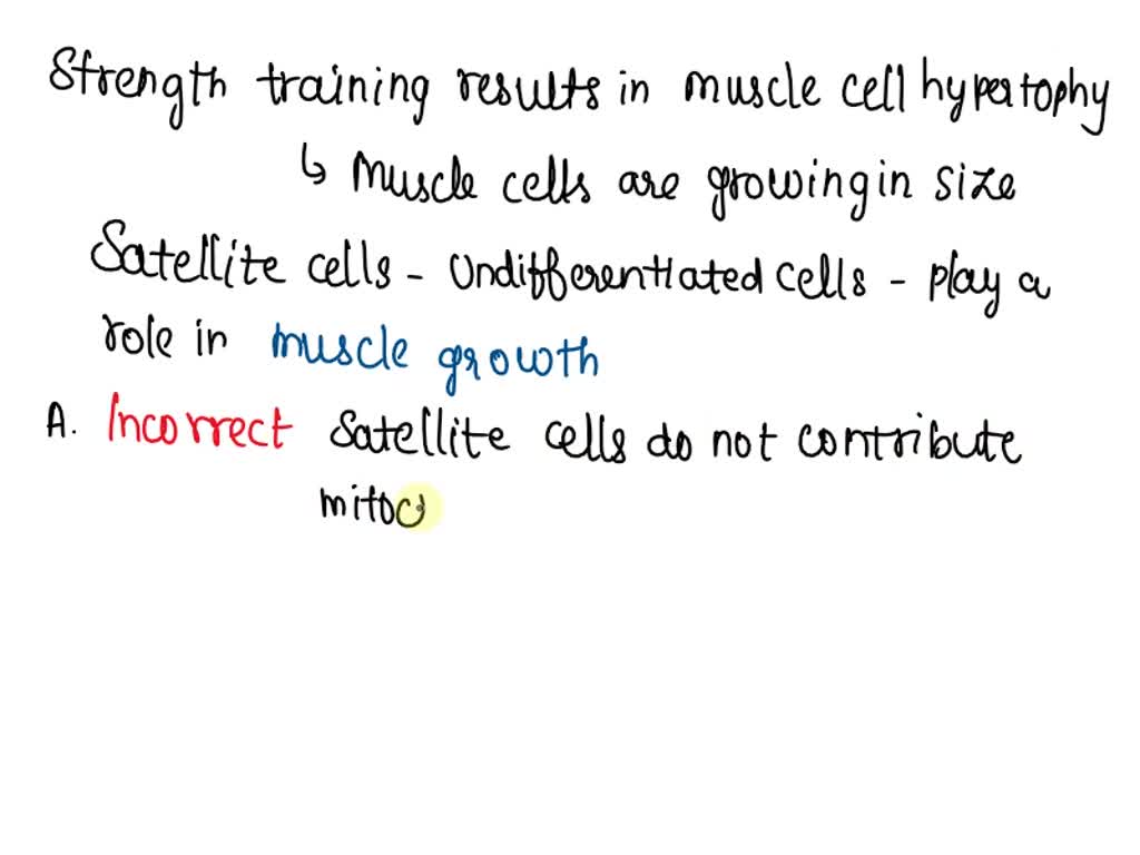 SOLVED Strength training results in muscle cell hypertrophy due in