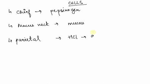 which-of-these-cells-secrete-hormones-a-parietal-cells-b-mucous-neck-cells-c-enteroendocrine-cells-d-58282