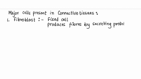 what-are-the-major-types-of-cells-in-connective-tissue-59201