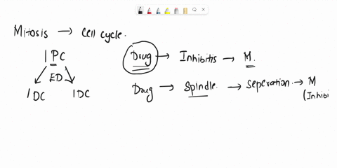 what-would-happen-if-you-ingested-a-drug-that-prevented-mitosis-what-if-it-only-prevented-spindle-fibre-formation-10-a-cell-from-a-tissue-culture-has-38-chromosomes-after-mitosis-and-cytokin-07478