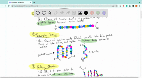 which-of-the-following-best-describes-the-quaternary-structure-of-a-protein-good-examples-are-alpha-helix-and-beta-pleated-sheet-one-or-more-polypeptide-chains-come-together-to-form-a-functi-28548