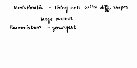 what-are-the-types-of-meristematic-tissue-write-their-function-06743