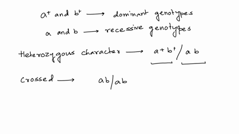two-genes-in-the-fruit-fly-a-and-b-are-linked-and-40cm-apart-on-the-same-chromosome-the-recessive-phenotypes-are-apple-bottom-for-gene-a-and-boneless-body-for-gene-b-the-alleles-a-and-b-are-53108